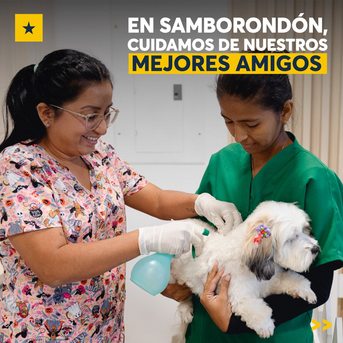 Microchips para mascotas en Samborondón: un paso firme por la tenencia responsable