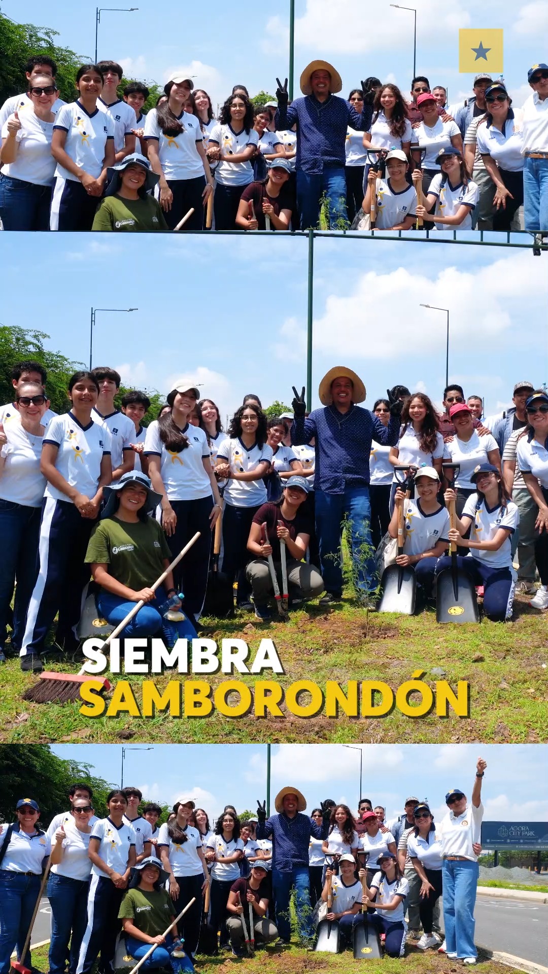 Estudiantes de IPAC plantan árboles y renuevan espacios verdes en Samborondón