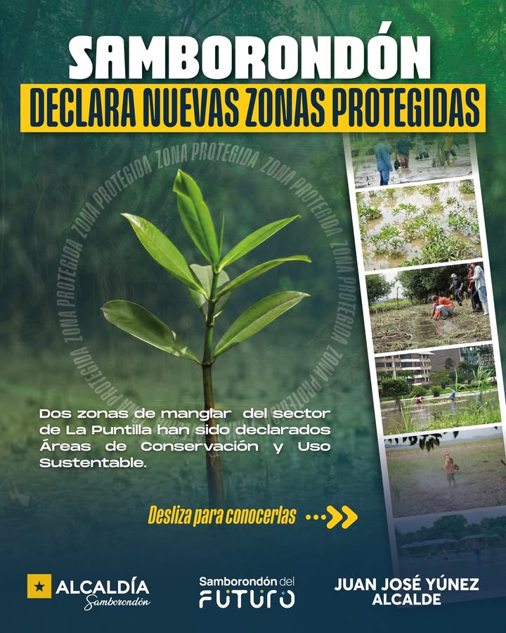 Samborondón declara manglares de La Puntilla como áreas de conservación