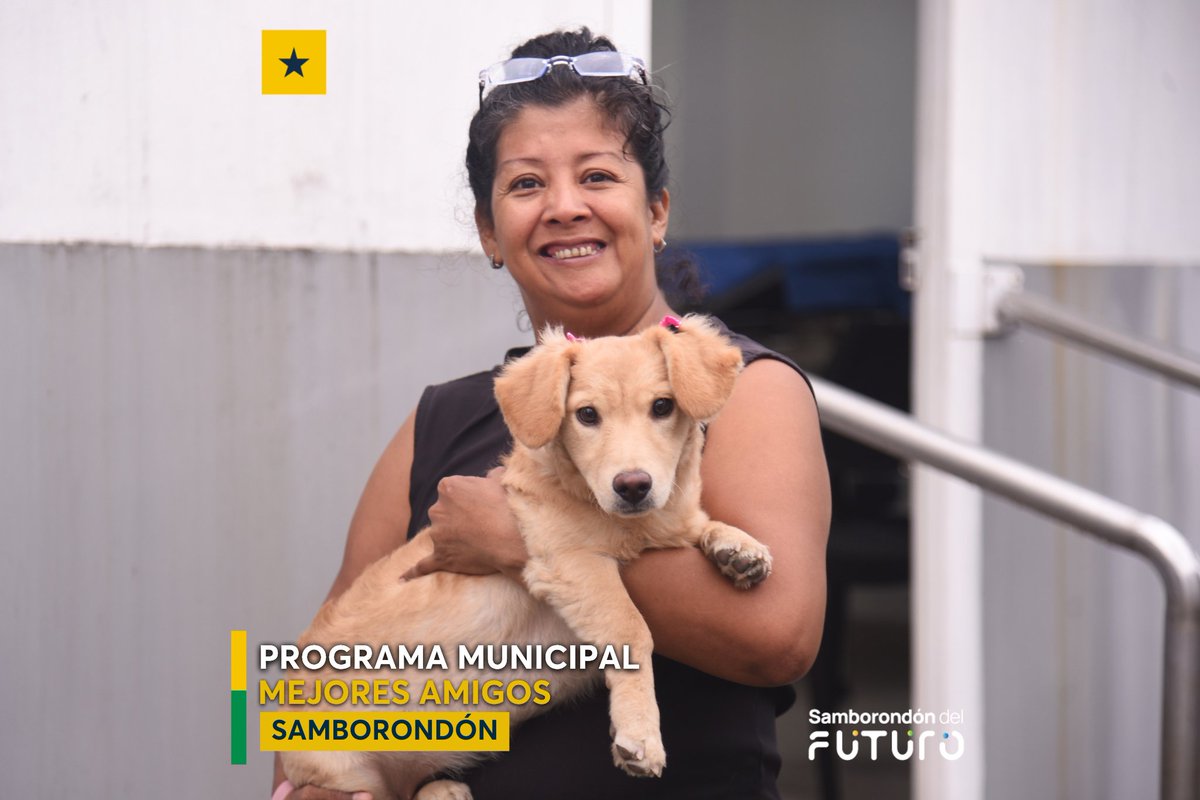 Samborondón avanza en esterilización felina para el control de animales