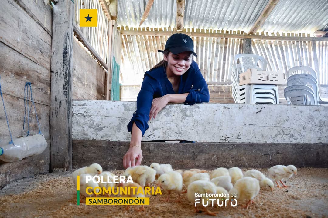 Reina de Samborondón impulsa crianza de pollos en Quevedo