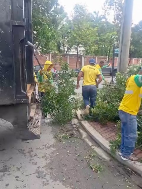 Árboles caídos bloquean calles en Entre Ríos tras lluvias intensas
