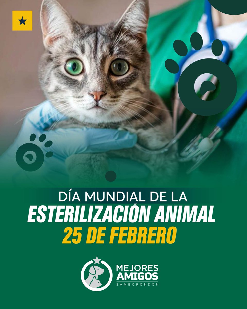 Más de 700 animales fueron esterilizados en campaña municipal de Samborondón