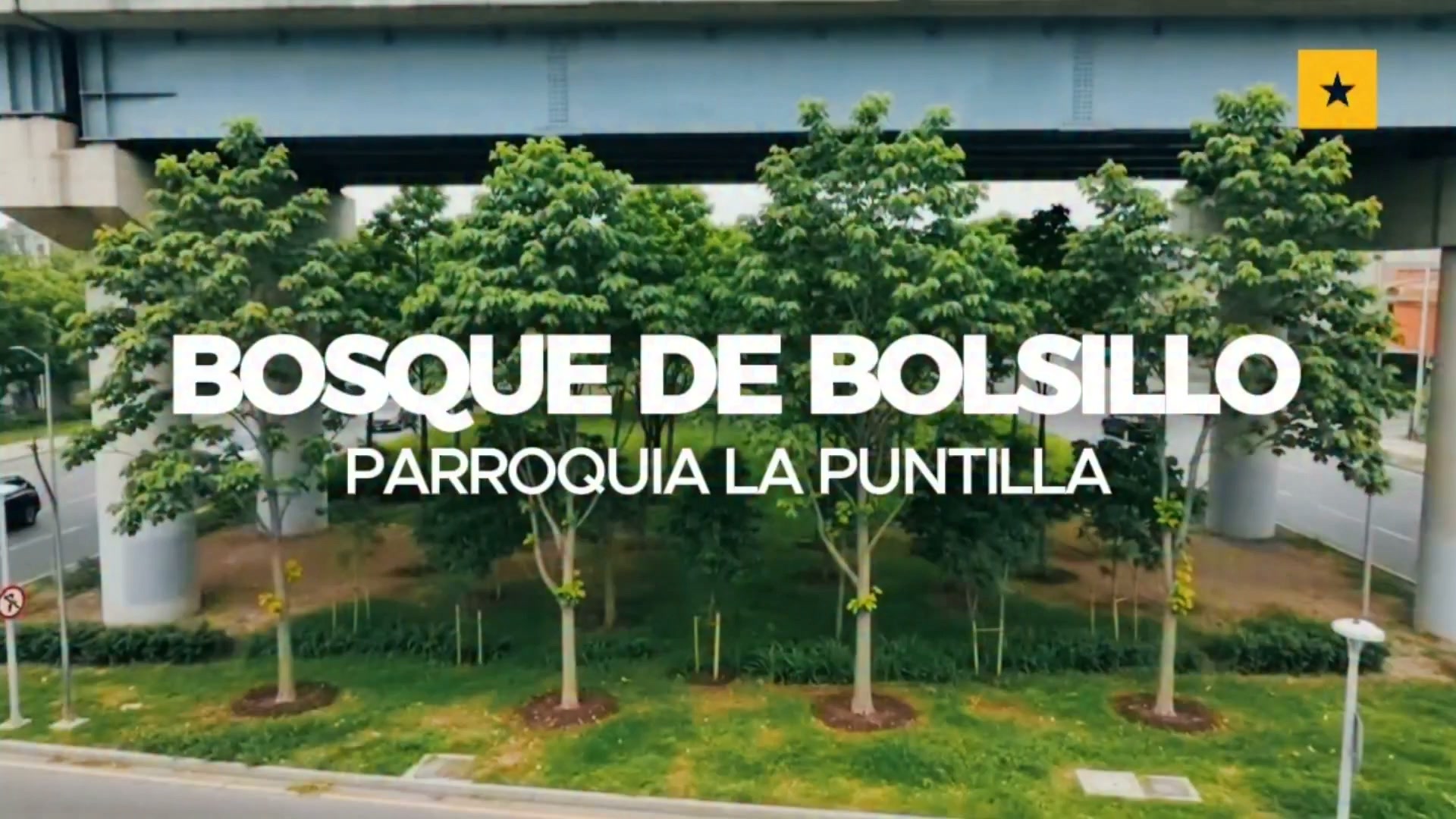 GAD Samborondón transforma un espacio gris en un nuevo pulmón verde con Bosque de Bolsillo