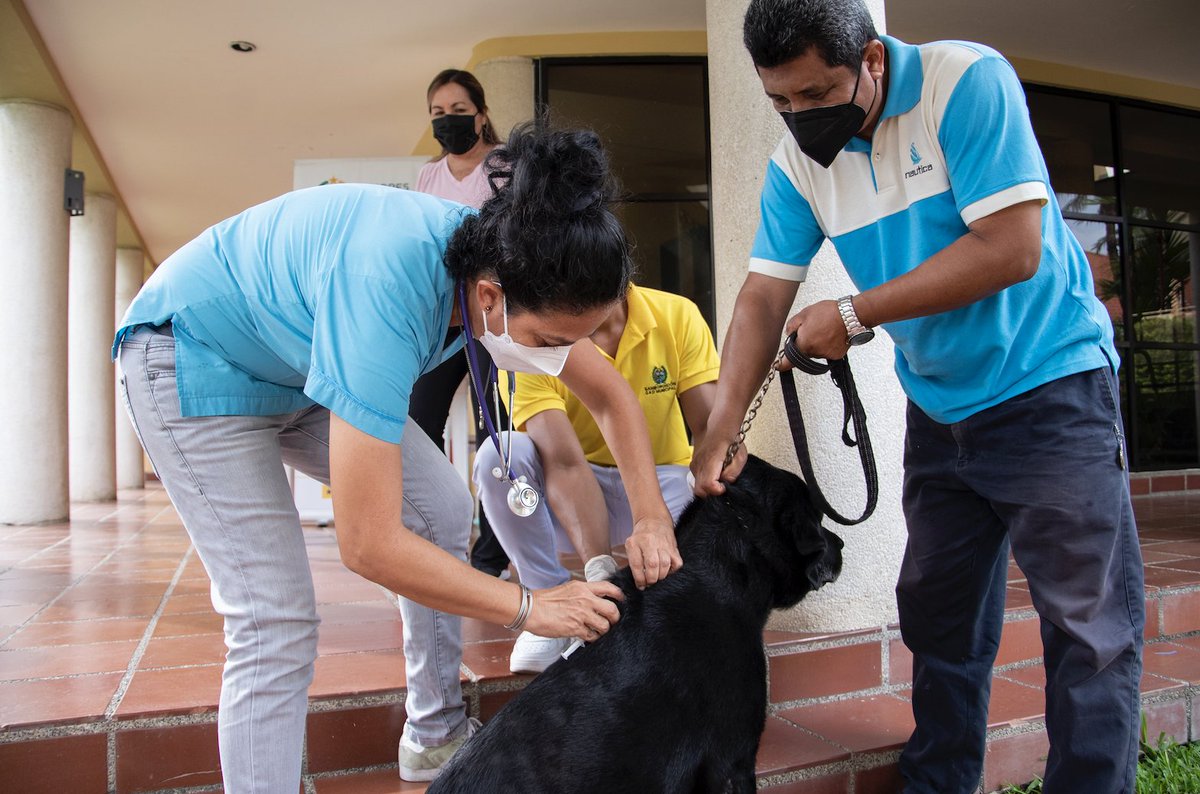 Brigada veterinaria del GAD Samborondón atiende a mascotas en Palmar del Río