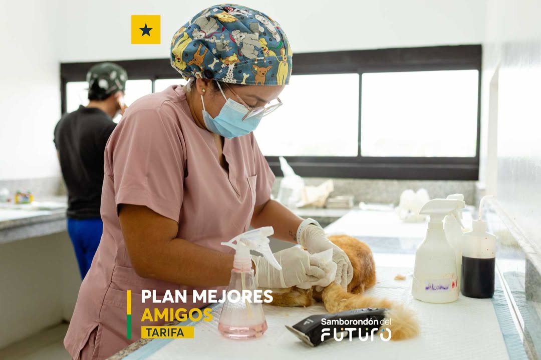 Plan Mejores Amigos: GAD Samborondón realiza jornada de esterilización en Tarifa