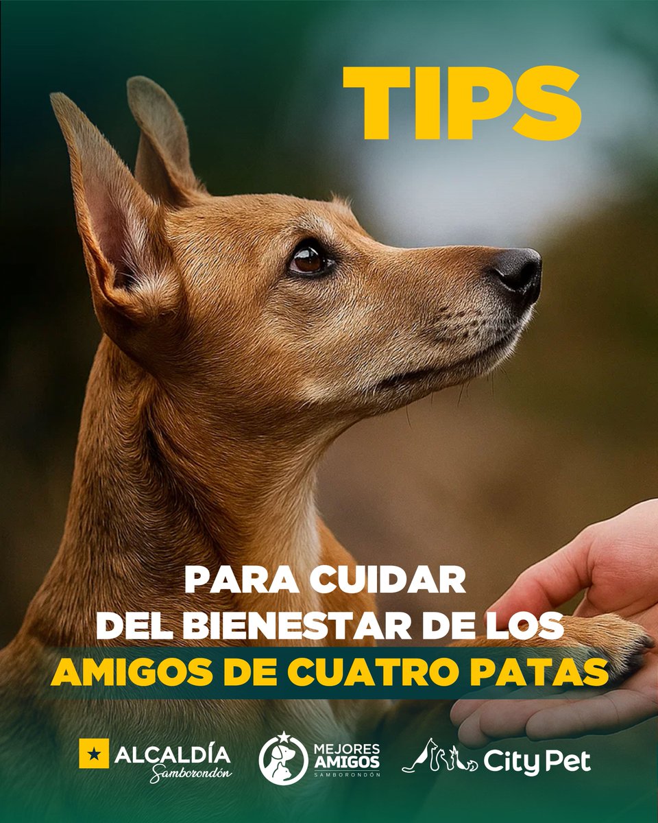 Samborondón ofrece atención veterinaria gratuita para perros y gatos