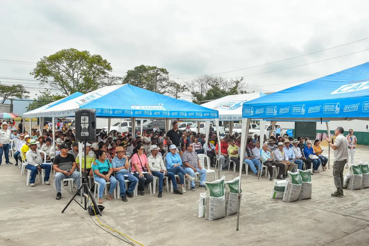 Pequeños productores de arroz en Samborondón reciben insumos gratuitos