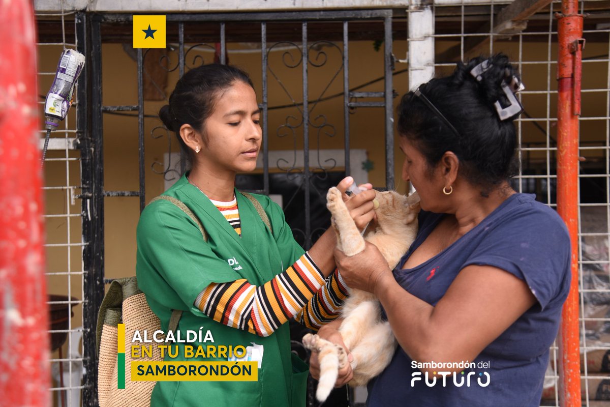 Servicios veterinarios y de adopción llegaron a hogares de Boca de Caña