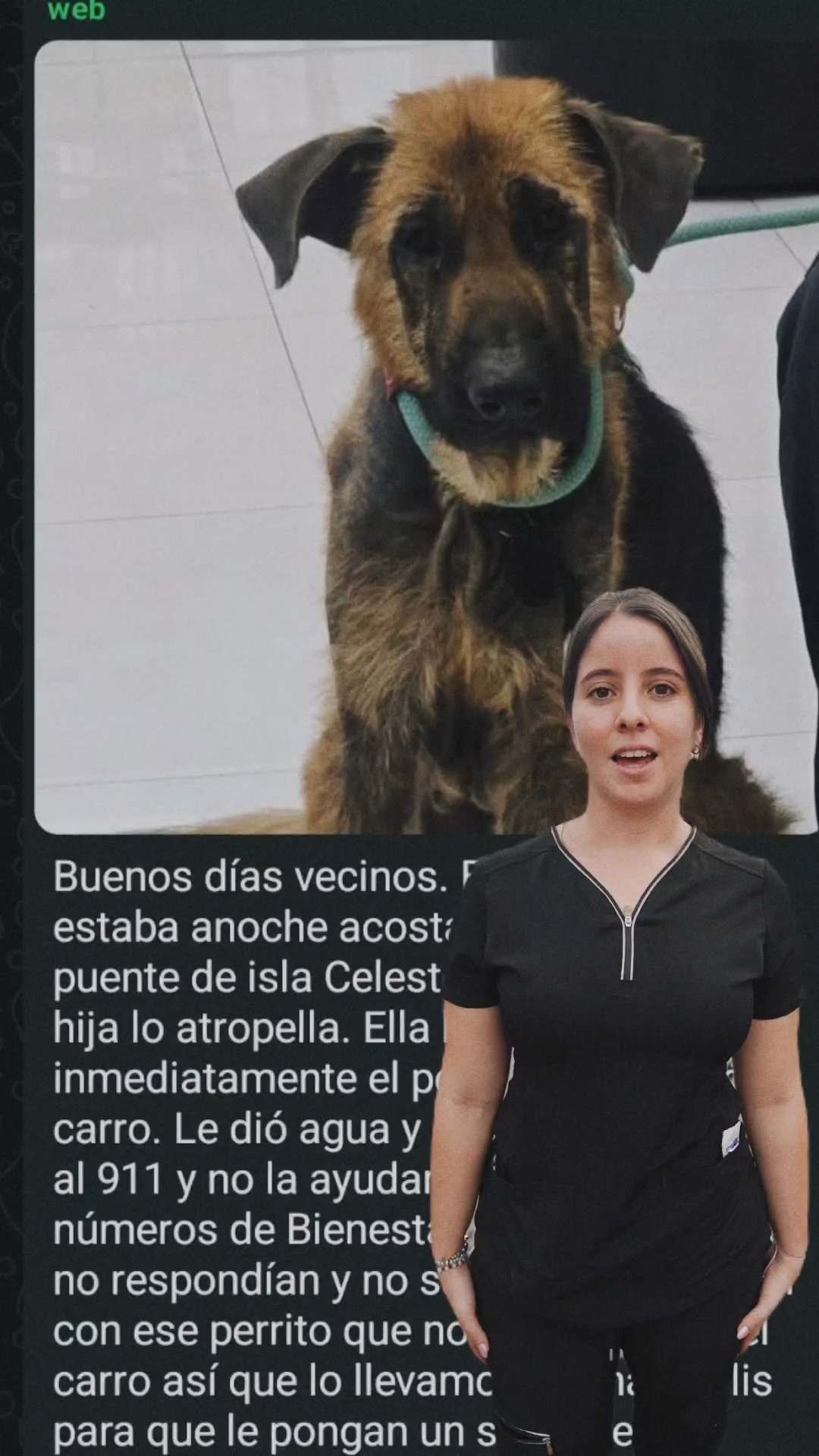 Denuncia ciudadana salvó a un perrito y le dio un hogar en Samborondón