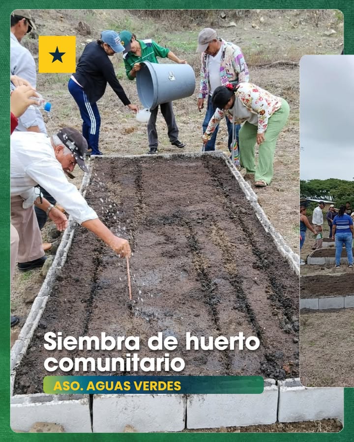 Vecinos de Aguas Verdes siembran su primer huerto comunitario