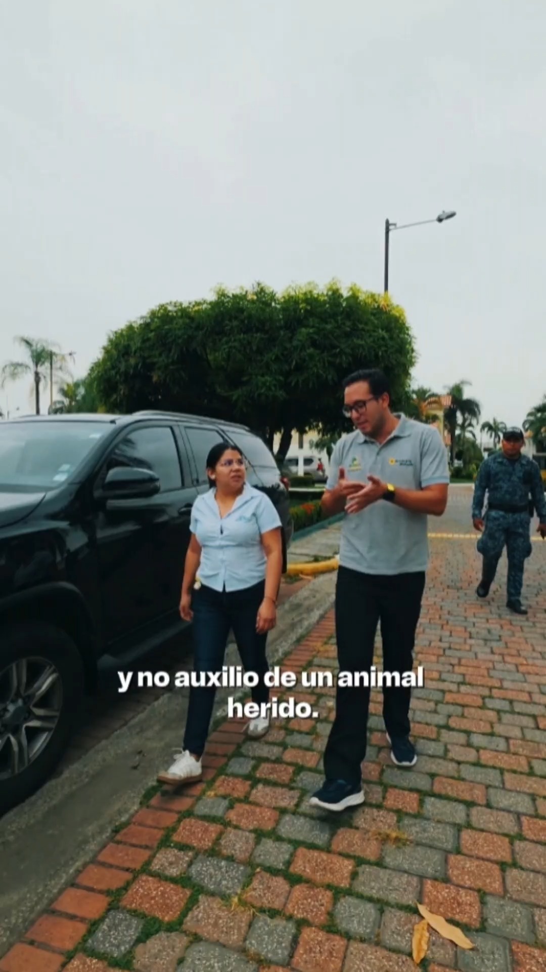 Plan Mejores Amigos actúa en La Serena por denuncia ciudadana sobre maltrato animal